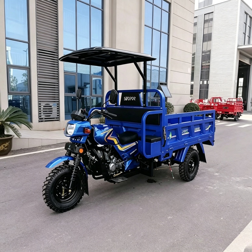 Electric tricycle